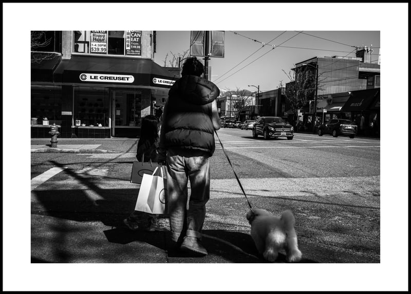 Crossing In The Shadows - Leica M10, Voigtlander 35mm f2.5 Color Skopar