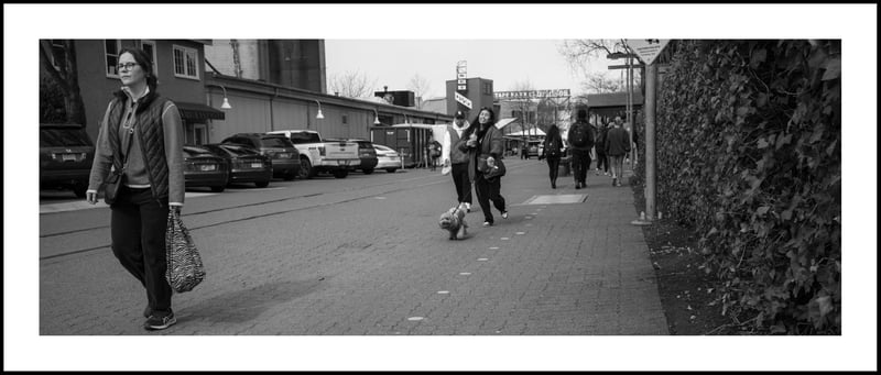 Differing Experiences - Ricoh GR3x
