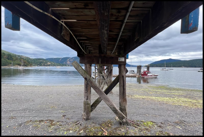 Under the Maple Bay Pier