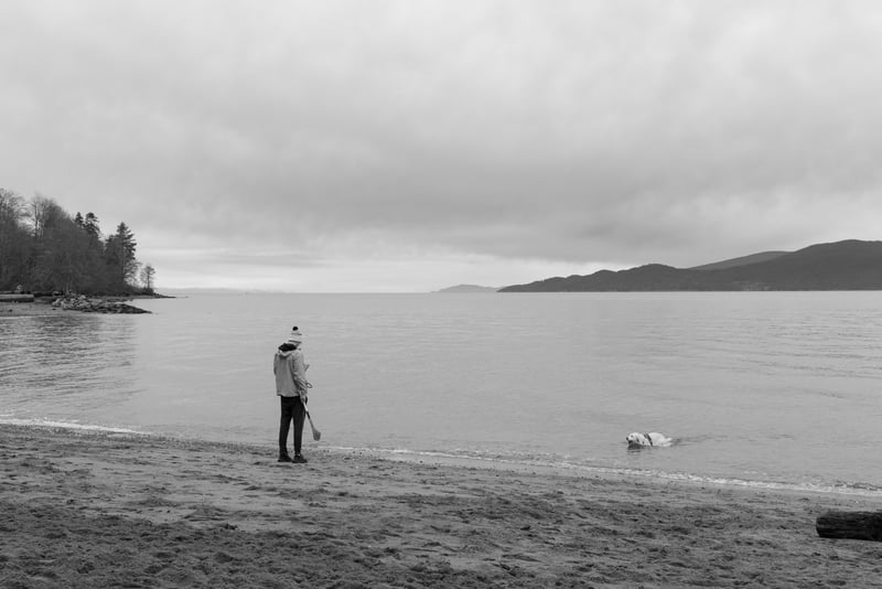 Spanish Banks