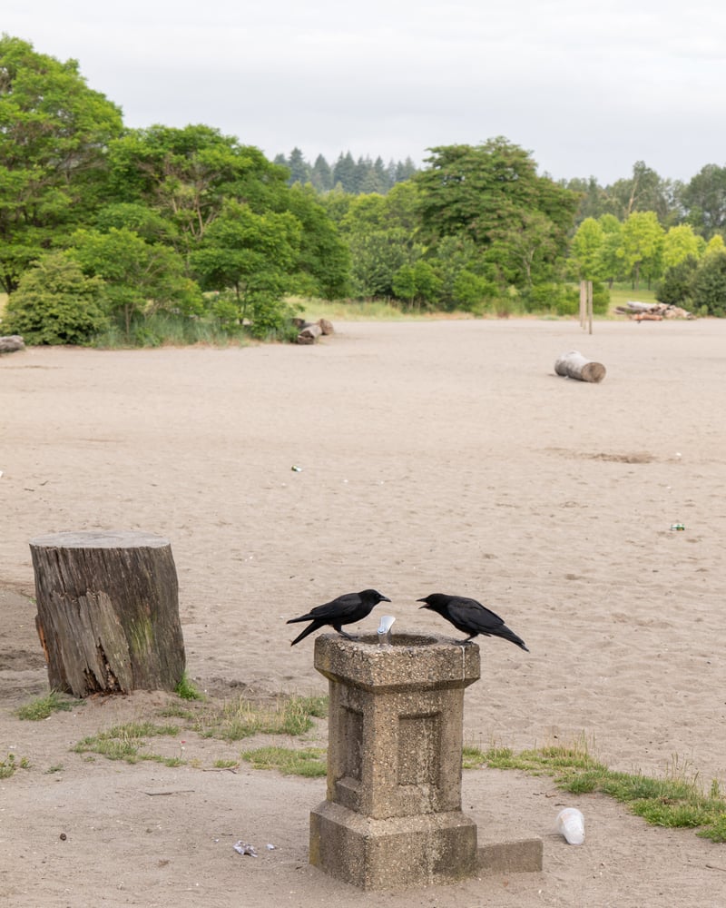Leica SL2 & LUMIX S 20-60/F3.5-5.6 @60mm f5.6