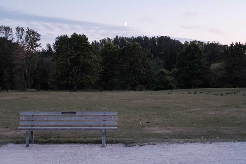 1/30 sec, f/8, ISO 6400