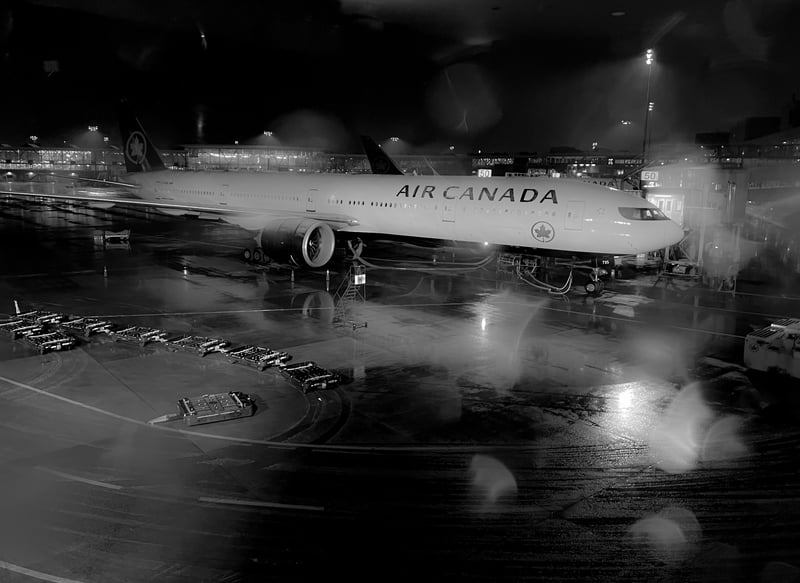 Night Gate — Vancouver 2021